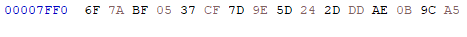 One line of hex code at offset 00007FF0