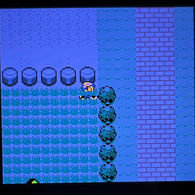 Kris in the top right corner of a patch of grass on Route 14
