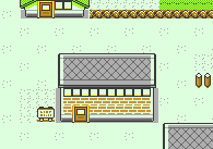 The Trainer House as seen in Viridian City